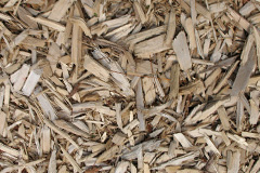 biomass boilers Kippilaw